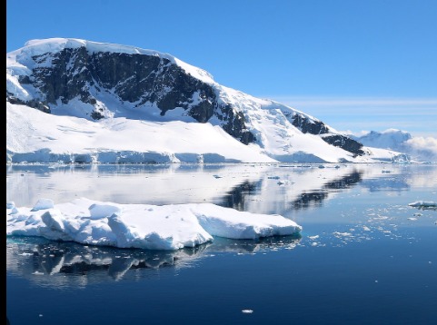 Pool House Equine Clinic